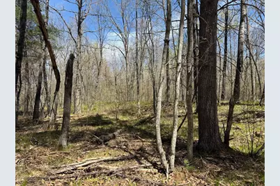 N10439 Tranus Lake Road, Springbrook, WI 54875 - Photo 35