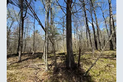 N10439 Tranus Lake Road, Springbrook, WI 54875 - Photo 21