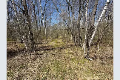 N10439 Tranus Lake Road, Springbrook, WI 54875 - Photo 7