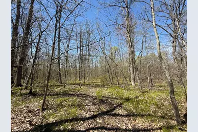 N10439 Tranus Lake Road, Springbrook, WI 54875 - Photo 9