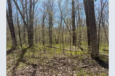 N10439 Tranus Lake Road, Springbrook, WI 54875 - Photo 37