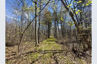 N10439 Tranus Lake Road, Springbrook, WI 54875 - Photo 31
