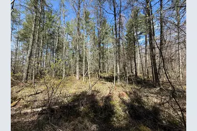 N10439 Tranus Lake Road, Springbrook, WI 54875 - Photo 23