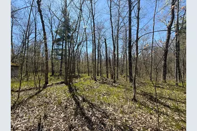 N10439 Tranus Lake Road, Springbrook, WI 54875 - Photo 19