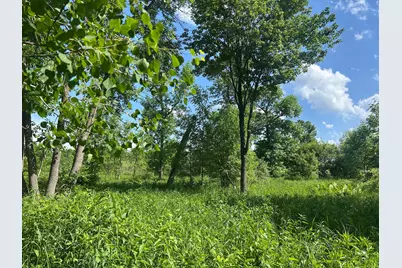 Tbd 250th Street, Aitkin, MN 56431 - Photo 7