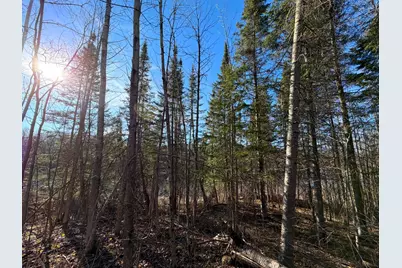 Lot A County Road 79, Littlefork, MN 56653 - Photo 33