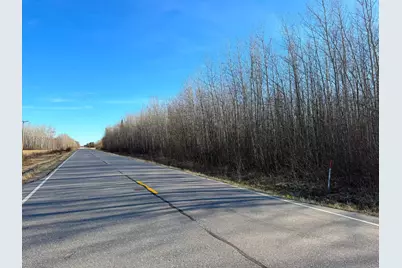 Lot A County Road 79, Littlefork, MN 56653 - Photo 15