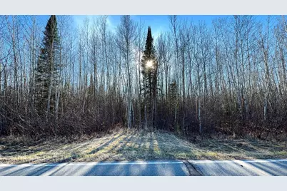 Lot A County Road 79, Littlefork, MN 56653 - Photo 25
