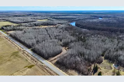 Lot A County Road 79, Littlefork, MN 56653 - Photo 13