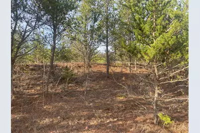 79327 Bonk Road, Willow River, MN 55795 - Photo 3