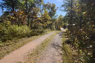 31064 Pine Ln, Danbury, WI 54830 - Photo 59