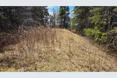 3293 Greaney Road, Orr, MN 55771 - Photo 11