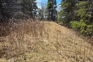 3293 Greaney Rd, Orr, MN 55771 - Photo 11