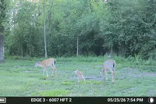 6217 321st St Way, Cannon Falls, MN 55009 - Photo 67