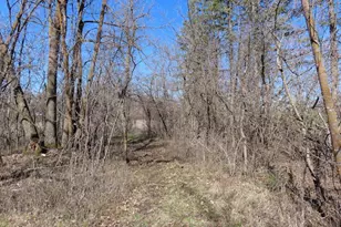 14091 180th St NE, Thief River Falls, MN 56701 - Photo 33