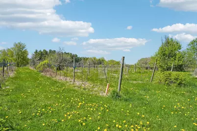 9040 152nd Street N, Hugo, MN 55038 - Photo 59