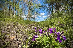 N2095 Twin Bluff Ln, Stockholm, WI 54769 - Photo 87