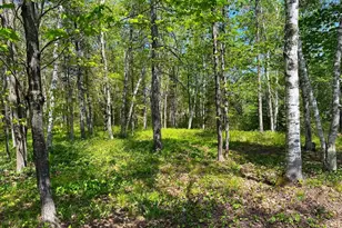 1505 Moorhead Rd, Cloquet, MN 55720 - Photo 21