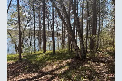 31Xxx Nordenstua Lane, Pequot Lakes, MN 56472 - Photo 19