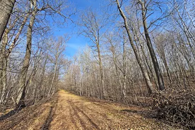 0000 Smoky Hills Trail, Osage Township, MN 56570 - Photo 51