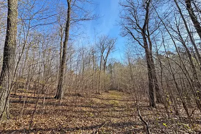 0000 Smoky Hills Trail, Osage Township, MN 56570 - Photo 53