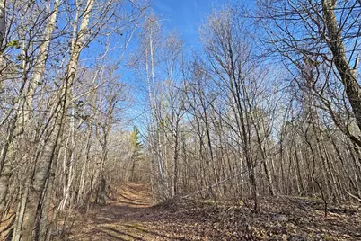 0000 Smoky Hills Trail, Osage Township, MN 56570 - Photo 49
