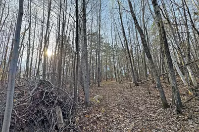 0000 Smoky Hills Trail, Osage Township, MN 56570 - Photo 45