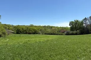 Tbd Hwy 55, Rockford Township, MN 55313 - Photo 1
