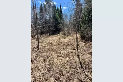 Tbd County Rd 553, Nashwauk, MN 55769 - Photo 19