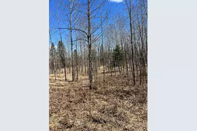 Tbd County Rd 553, Nashwauk, MN 55769 - Photo 21