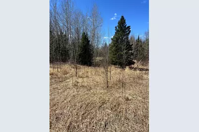 Tbd County Rd 553, Nashwauk, MN 55769 - Photo 15