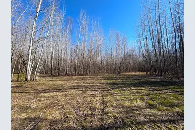 Lot C County Road 79, Littlefork, MN 56653 - Photo 17