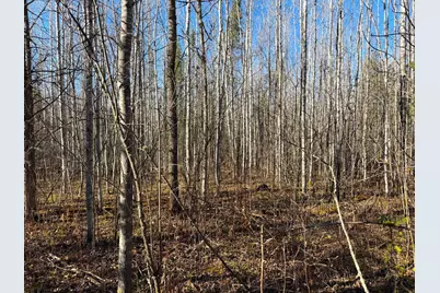 Lot C County Road 79, Littlefork, MN 56653 - Photo 21