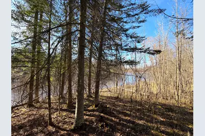 Lot C County Road 79, Littlefork, MN 56653 - Photo 29