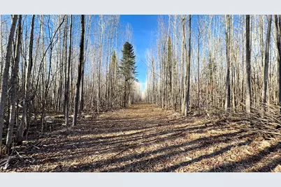 Lot E County Road 79, Littlefork, MN 56653 - Photo 13
