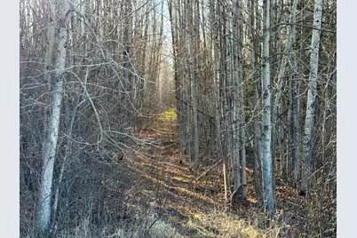 Lot F County Road 79, Littlefork, MN 56653 - Photo 43