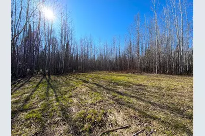 Lot F County Road 79, Littlefork, MN 56653 - Photo 3