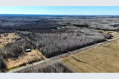 Lot F County Road 79, Littlefork, MN 56653 - Photo 7