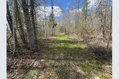 89225 Little Oak Lake Road, Kerrick, MN 55756 - Photo 11