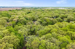17187 166th St SE, Big Lake, MN 55309 - Photo 75