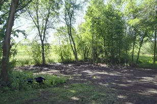 6041 115th St NW, Maple Lake, MN 55358 - Photo 15