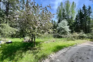 1206 E Ottum Ave, Bigfork, MN 56628 - Photo 9
