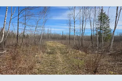 Tbd 43 Lummi Road, Orr, MN 55771 - Photo 25