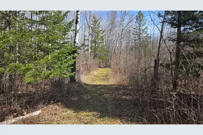 Tbd 43 Lummi Road, Orr, MN 55771 - Photo 21