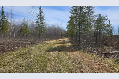 Tbd 43 Lummi Road, Orr, MN 55771 - Photo 27