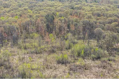 Tbd, Lot 3 County Rd 3, Nisswa, MN 56468 - Photo 7