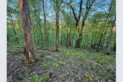 19807 Balentine Road, Caledonia, MN 55921 - Photo 73