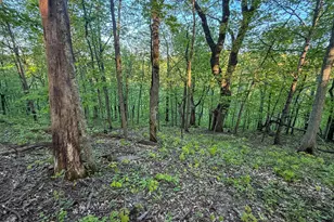 19807 Balentine Rd, Caledonia, MN 55921 - Photo 73