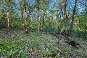 19807 Balentine Rd, Caledonia, MN 55921 - Photo 71