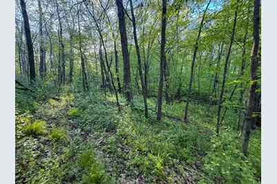 19807 Balentine Road, Caledonia, MN 55921 - Photo 77